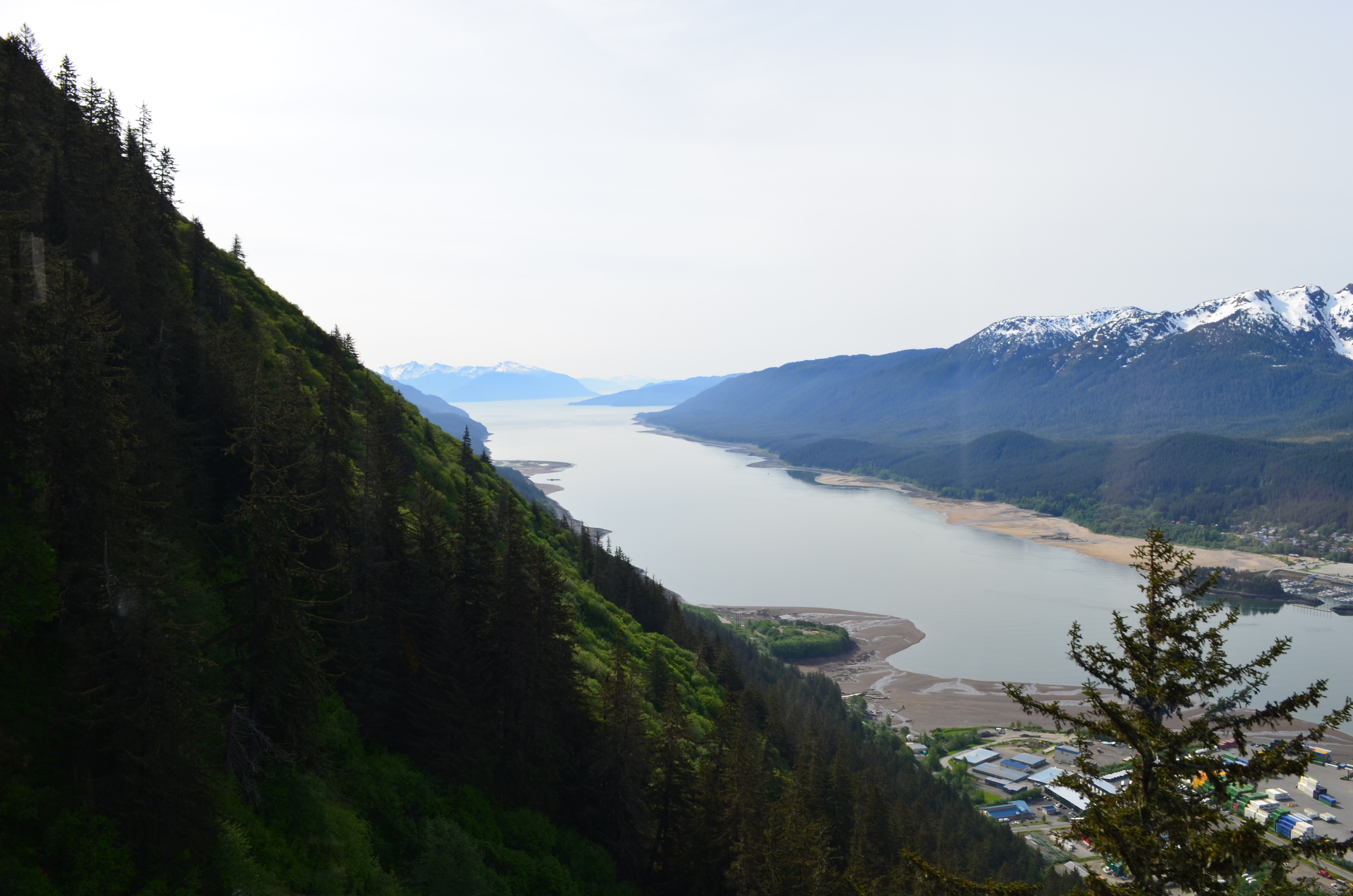 ./2017/08 - Alaska Cruise/08 - Juneau/DSC_0872.JPG